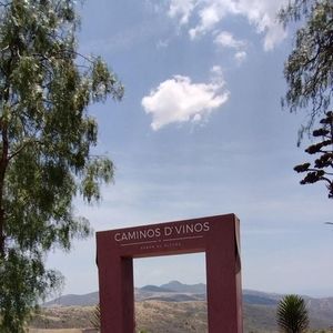 Meet your Posher, Conchita